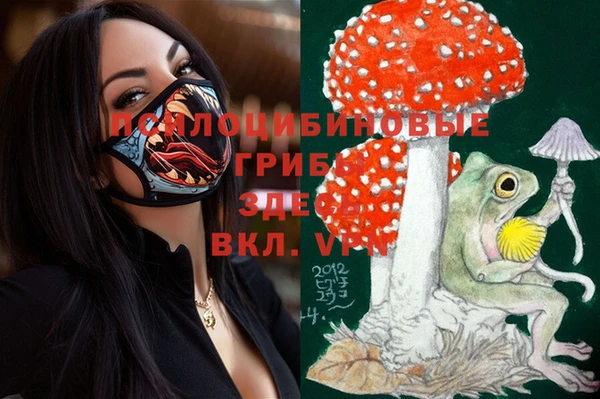apvp Аркадак