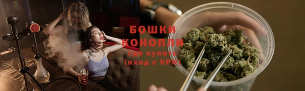 apvp Аркадак