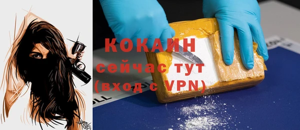 ешки Алексин