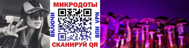 Псилоцибиновые грибы Psilocybe  Аксай 
